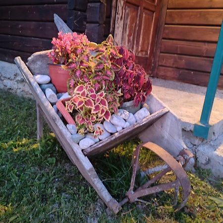 Bungalovi Vukovic Mojkovac Εξωτερικό φωτογραφία